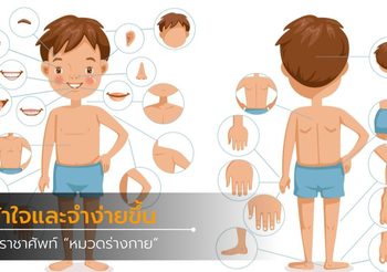 ไอเดีย Mind Map คําราชาศัพท์หมวดร่างกาย ที่เข้าใจและจำง่ายขึ้น