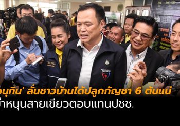 ‘อนุทิน’ ลั่นชาวบ้านได้ปลูกกัญชา 6 ต้นแน่ ย้ำหนุนสายเขียวตอบแทนปชช.