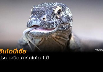 อินโดนีเซีย ประกาศปิดเกาะโคโมโด 1 ปี
