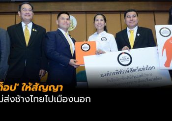 ‘ท็อป’ ยันไม่ส่งช้างไทยไปเมืองนอก หลัง 36 กลุ่มอนุรักษ์ ยื่นคัดค้าน