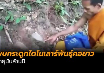 ฮือฮา พบกระดูกไดโนเสาร์พันธุ์คอยาว อายุนับล้านปี