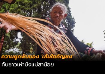 ความผูกพันของ ‘เส้นใยกัญชง’ กับชาวเผ่าม้งแม่สาน้อย