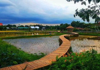 Wisdom Farm โซนใหม่ในพิพิธภัณฑ์การเกษตรฯ จ.ปทุมธานี ฟินกับท้องนาและวิวธรรมชาติ