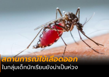 แพทย์เผย สถานการณ์ไข้เลือดออก ในกลุ่มเด็กนักเรียนยังน่าเป็นห่วง