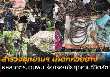 สำรวจ อุทยานฯน้ำตกห้วยยาง พบร่องรอย ภัยคุกคามชีวิตสัตว์ป่า
