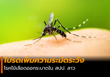 สถานเอกอัครราชทูตฯ เตือน! โรคไข้เลือดออกระบาด ใน สปป. ลาว