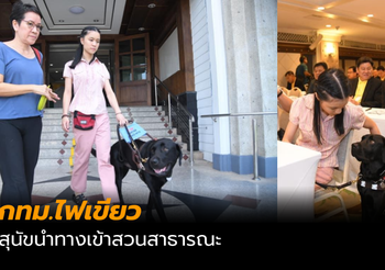 กทม.ไฟเขียว สุนัขนำทางเข้าสวนสาธารณะ