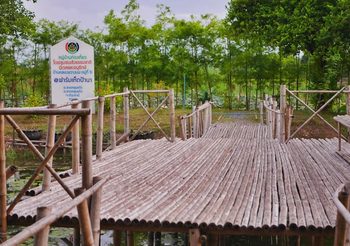ฟาร์มเห็ดป้านา ปทุมธานี เที่ยวเชิงเกษตรใกล้กรุง หลบเรื่องวุ่นใช้ชีวิตพอเพียง