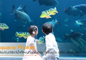 Aquaria Phuket พิพิธภัณฑ์สัตว์น้ำ ใหญ่ที่สุดในไทย ใจกลางห้าง เซ็นทรัล ภูเก็ต ฟลอเรสต้า