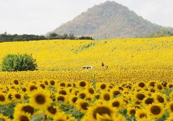 มาอีกแล้วมาตการกระตุ้นเศรษฐกิจ รัฐเล็งแจกเงิน 1,500 เที่ยวไทย