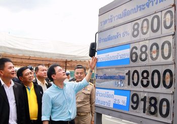 จุรินทร์ เคาะโครงการประกันรายได้ข้าว! ช่วยชาวนาทั่วประเทศ