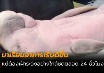 หลังอยู่ในภาวะเครียด มาเรียมอาการเริ่มดีขึ้น