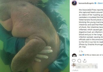 ลีโอนาร์โด โพสต์เศร้า! สูญเสีย “มาเรียม” พะยูนน้อย