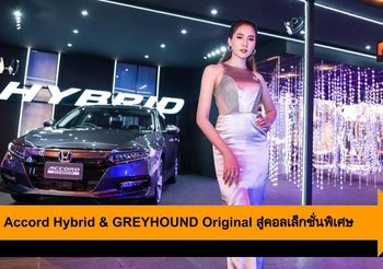 Honda Accord Hybrid & GREYHOUND Original สู่คอลเล็กชั่นพิเศษอันเจิดจรัส