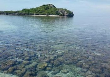 เปิดให้ท่องเที่ยวดำน้ำดูปะการังน้ำตื้นรอบเกาะจาน-เกาะท้ายทรีย์