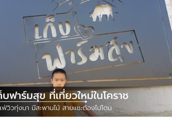 เก็บฟาร์มสุข ที่เที่ยวใหม่ในโคราช คาเฟ่วิวทุ่งนา มีสะพานไม้ สายแชะต้องไปโดน