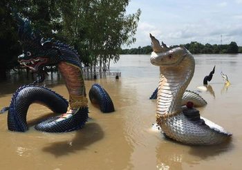 ภาพพญานาค เล่นน้ำที่ จ.อุบลฯ หลังประสบเหตุน้ำท่วมสูง