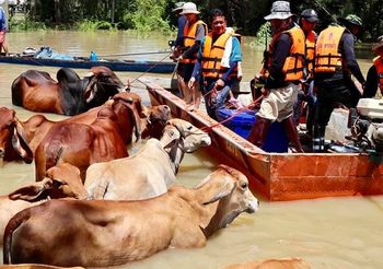 ยกระดับการให้ข้อมูลน้ำท่วม แถลงข่าวสู่ประชาชน วันละ 3 รอบ