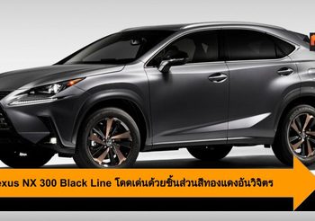2020 Lexus NX 300 Black Line โดดเด่นด้วยชิ้นส่วนสีทองแดงอันวิจิตร