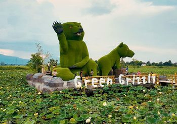 ตลาดน้ำหมียักษ์เขียว (Green Grizzly) จ.เชียงใหม่ ดูหมี ถ่ายรูป กินของอร่อย เพลินทั้งวัน