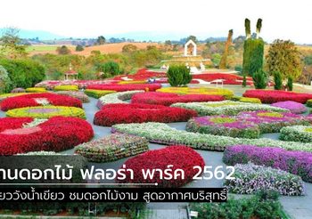 เที่ยววังน้ำเขียว ชมดอกไม้งาม ที่ Flora Park (ฟลอร่าพาร์ค) เปิดสวนวันแรก 1 พ.ย. 62