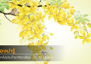 จันทบุรี เที่ยวได้ทั้งปี เที่ยวได้ทุกแนว