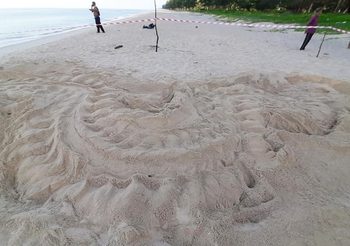 ‘เต่ามะเฟือง’ ขึ้นวางไข่ที่หาดบ่อดาน จนท.กั้นคอกพร้อมตั้งศูนย์เฝ้าระวัง