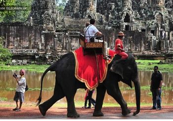 กัมพูชาแบน ‘การขี่ช้าง’