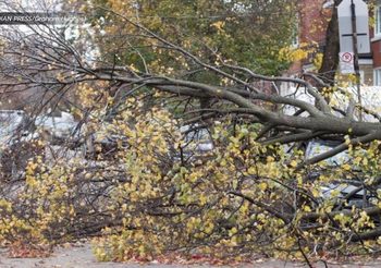 รัฐควิเบก ในแคนาดาพายุถล่มอ่วม ดับ 2 ศพ 400,000 ชีวิตขาดไฟฟ้าใช้
