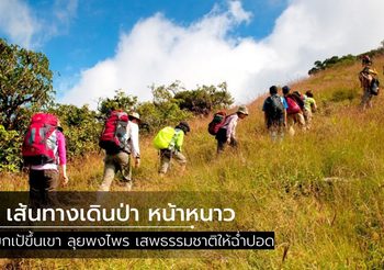 6 เส้นทางเดินป่า หน้าหนาว แบกเป้ขึ้นเขา ลุยพงไพร เสพธรรมชาติให้ฉ่ำปอด