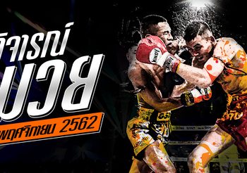 วิจารณ์มวย วันศุกร์ที่ 8 พฤศจิกายน 2562