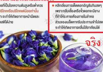 เผยความจริง ข้อความเตือนระวัง กินดอกอัญชันได้หรือไม่ได้ ??