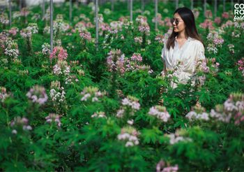 เทศกาล “Color De Fleurs” เที่ยวชมทุ่งดอกไม้ ที่ ฟาร์ม CORO Field