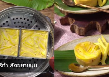 สูตร สังขยาขนุน ขนมไทยทำง่าย เครื่องไม่เยอะ