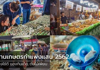งานเกษตรแฟร์ ม.เกษตรกำแพงแสน 2562 เดินช้อป เดินกิน ฟินทั้งวัน