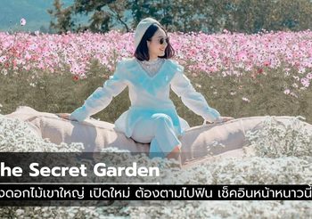 The Secret Garden ทุ่งดอกไม้เขาใหญ่ เปิดใหม่ ต้องตามไปฟิน เช็คอินหน้าหนาวนี้