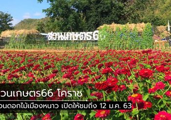 ปักหมุดเที่ยว สวนเกษตร66 สวนดอกไม้เมืองหนาวแห่งโคราช