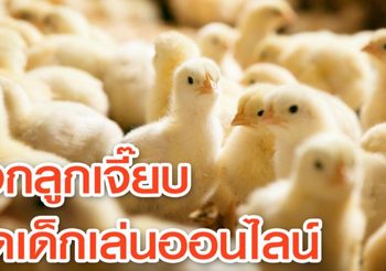 เข้าท่า! อินโดฯ แจกลูกเจี๊ยบแก่เด็ก หวังลดการติดเกม-โซเชียล
