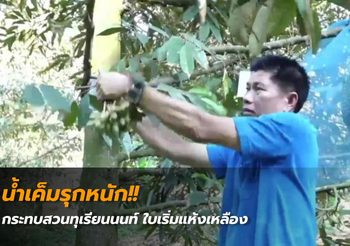 OFFICIAL : ดีลสะท้านฟุตซอลไทย พีทีที บลูเวฟ คว้า มูฮัมหมัด อุสมานมูซา
