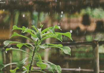 พยากรณ์อากาศ 4 ม.ค. 2563 – เหนือ มีฝนฟ้าคะนอง ลมกระโชกแรง / อ่าวไทยคลื่นลมแรง