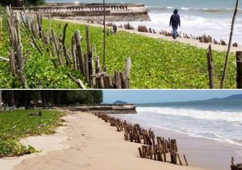 เผยวิธีง่าย ๆ ลงทุนไม่มาก ป้องชายหาดพัง จากการถูกกัดเซาะ