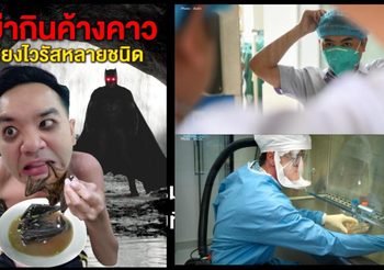เพจหมอแล็บ เตือนอย่ากินค้างคาว เหตุเสี่ยงติดโคโรนาไวรัส และโรคหลายชนิด
