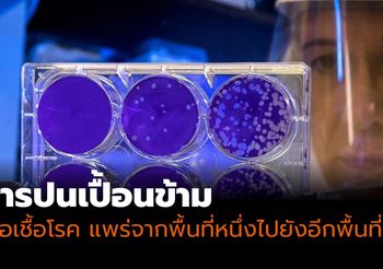 “การปนเปื้อนข้าม” เมื่อเชื้อโรคแพร่จากพื้นที่หนึ่งไปยังอีกพื้นที่