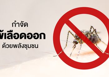 กำจัดไข้เลือดออก ด้วยพลังชุมชน