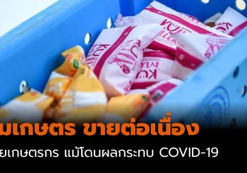 นมเกษตร ขายต่อเนื่อง ช่วยเกษตรกร แม้โดนผลกระทบ COVID-19