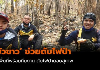 ‘บัวขาว’ ช่วยดับไฟป่า ดอยสุเทพ จ.เชียงใหม่