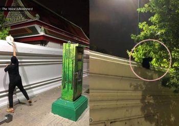 ทำได้ลงคอ!! สาวคุมโม่งนำแมว 4 ชีวิต โยนทิ้งข้ามรั้ววัด