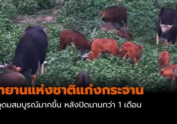 อุทยานแห่งชาติแก่งกระจาน เผยคลิปภาพป่าอุดมสมบูรณ์ หลังปิดกว่า 1 เดือน