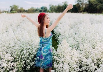6 พิกัดเที่ยวชม ทุ่งดอกไม้ เชียงใหม่ สวยน่าไปถ่ายรูป