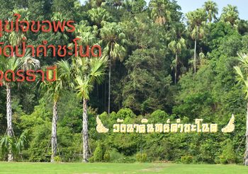 เยือนถิ่นอีสาน สุขใจขอพร วัดป่าคำชะโนด วัดดังแห่งอุดรธานี